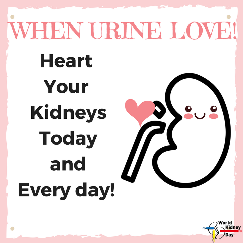Cute Kidney Slogans World Kidney Day What Can I Do To Protect My