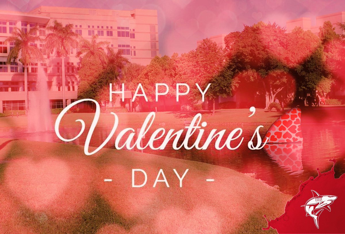 NSUUGA's tweet photo. 🦈❤️Fall in love with NSU ❤️🦈
#ValentinesDay #NSUSharks https://t.co/l19z7znr7C