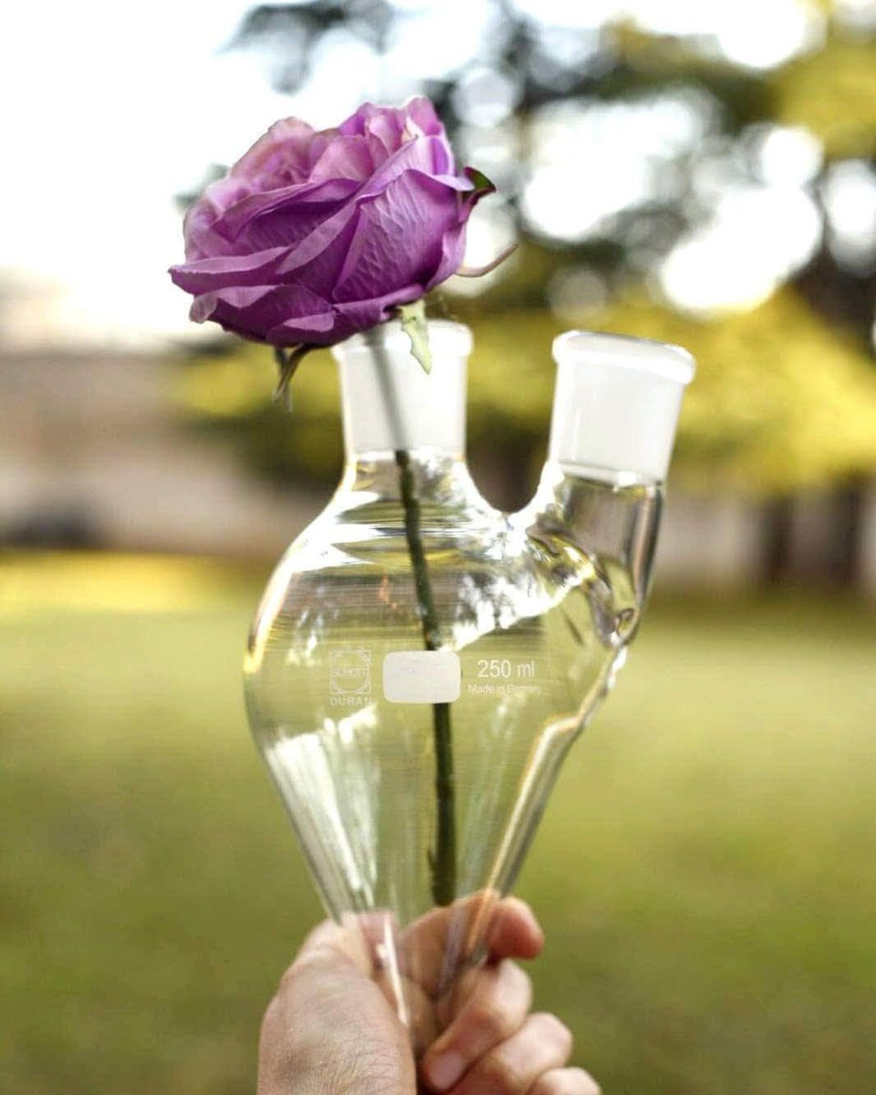 ambadue's tweet photo. L'amore è una questione di chimica. Ambadué vi augura un buon #SanValentino ❤️
Love is a question of chemistry. Happy #ValentinesDay from Ambadué ❤️

https://t.co/NToVcpOOEI https://t.co/Xyx1uUPM5p