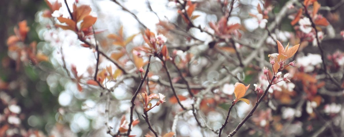 Something to help brighten up your week: Our 2018 #Spring #AIQ is out now! Read for some exciting updates since Autumn, including photos from our Community Gathering in January, our publication in The Sunday Times and more on our #Changemaker Study: bit.ly/2BtDw4M