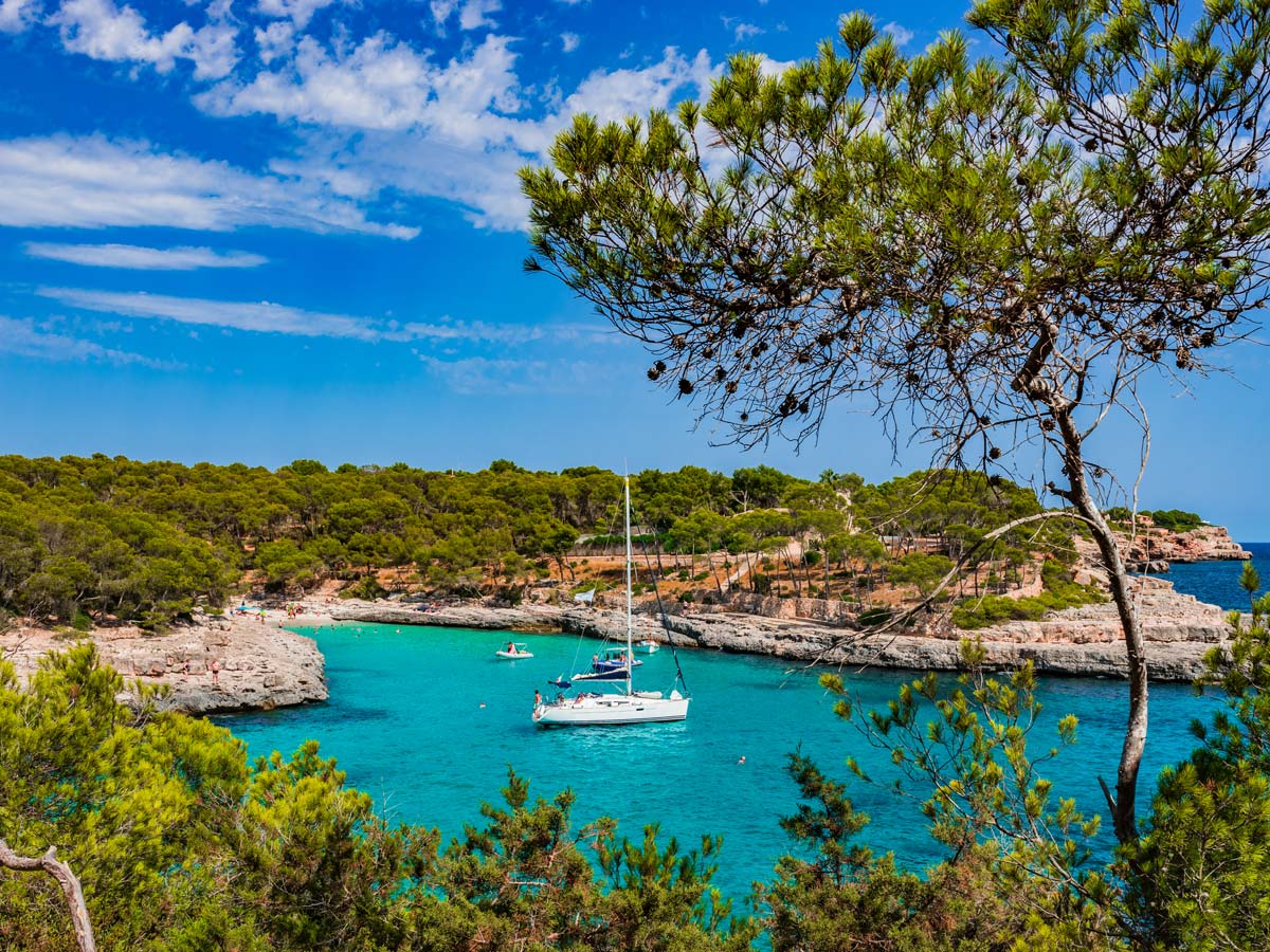 EV_Guardamar's tweet photo. Discover #Majorca's abundant charms by getting off the beaten path with our #traveltips. https://t.co/f9pH9wPtP5 https://t.co/sq5TTkvruE