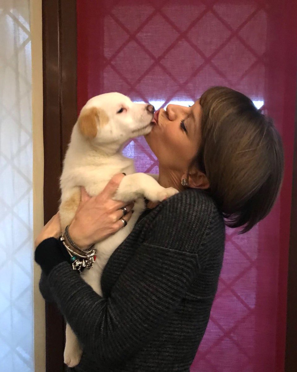 AmorosoOF's tweet photo. Per San Valentino vi presento Pablo che ho adottato dal canile comunale di Bitonto. So che Buddy sarebbe felice di questo arrivo nella nostra famiglia, perché possiamo dare una casa a un cucciolo in difficoltà ❤
Evviva l’amore in ogni sua forma, colore e sfumatura! 🐶🌈❤😘 https://t.co/0S9TzbblDA