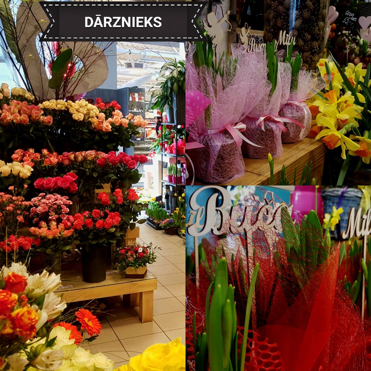 Sirsnīgu Valentīna dienu!