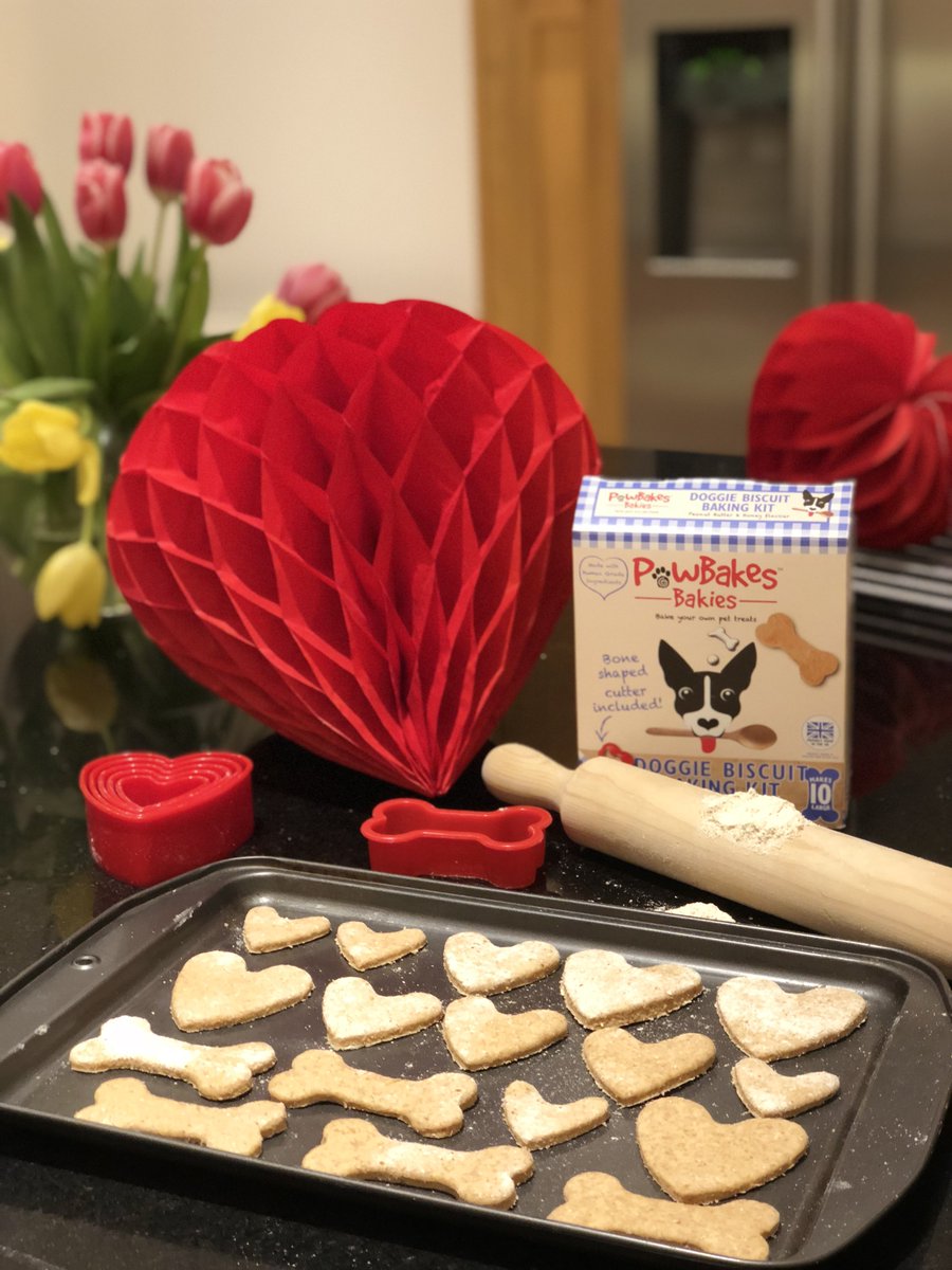 PawBakes's tweet photo. Happy Valentine’s Day ❤️ Check out these Doggie Valentine’s baking ideas! Get 20% off baking kits to celebrate! Use Code: PBVALENTINES at checkout 🐾 #love #ValentinesDay #dogs #dogbaking #pawbakes https://t.co/ea2gkyF2qh