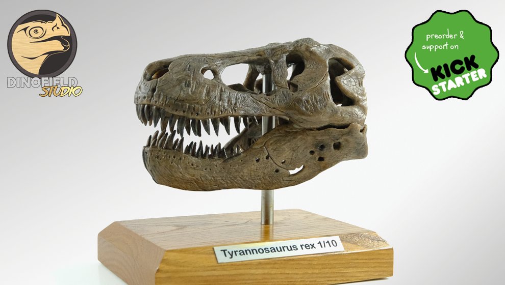 Dinofield Studio tweet media