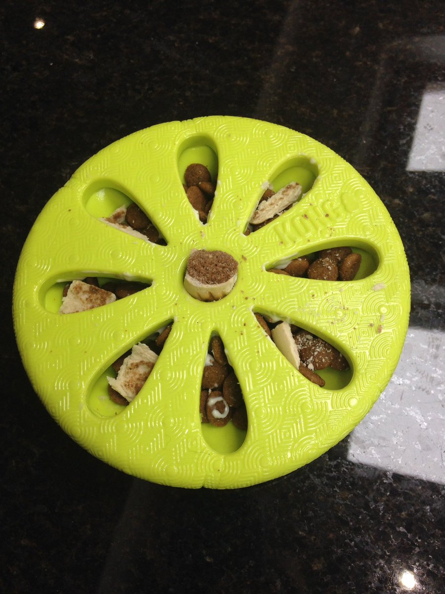 hd_puppy's tweet image. New treats toy for the workshop ❤️ @KTHallmark 
#WorkshopAssistant