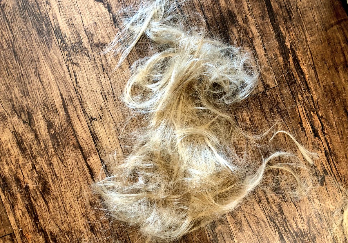 splicecreative's tweet photo. Half my hair on the floor. Must mean a visit to fave clients and stylists @BolderoFilby #KingsLynn #workandpleasure https://t.co/cxUtlnt7xy