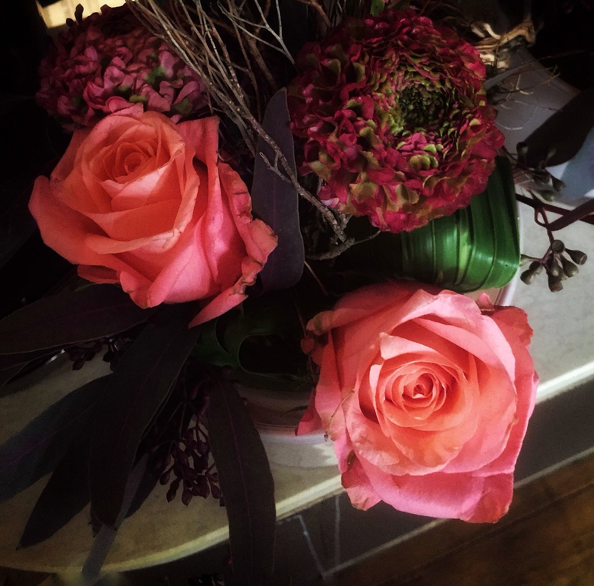 Happy Valentines Day! ❤️ It is not about the flowers and chocolates, but telling someone you love and care about them is always worthwhile. <a href="/RF_VillaKennedy/">Villa Kennedy</a> #HappyValentinesDay