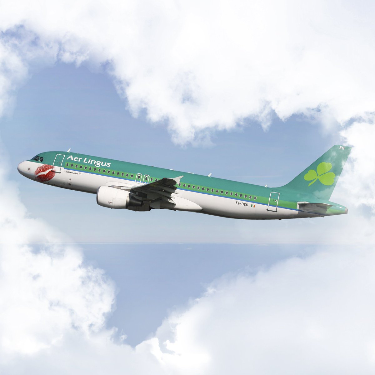 aer lingus lost my bag