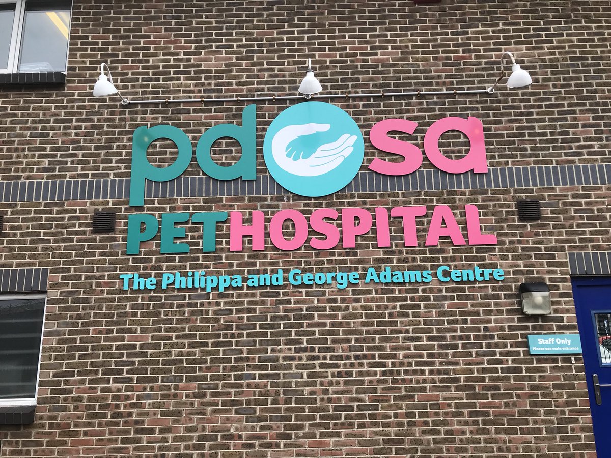 RBMefirst's tweet photo. Seeing this reminded me to look at my other PDSA. How are you going with yours? #CYPMefirst https://t.co/Aw3ByjOpp8