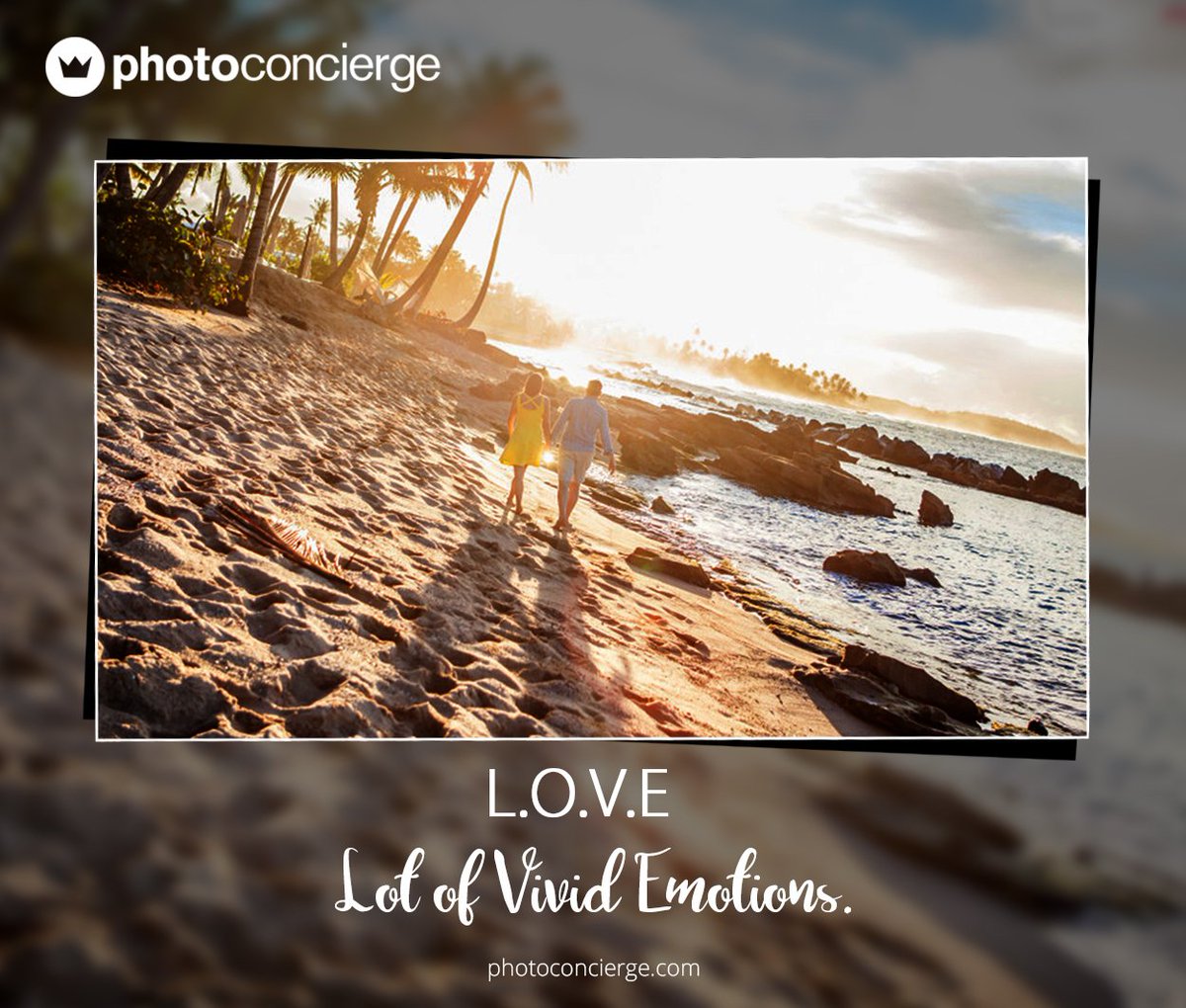 Photo Concierge tweet media