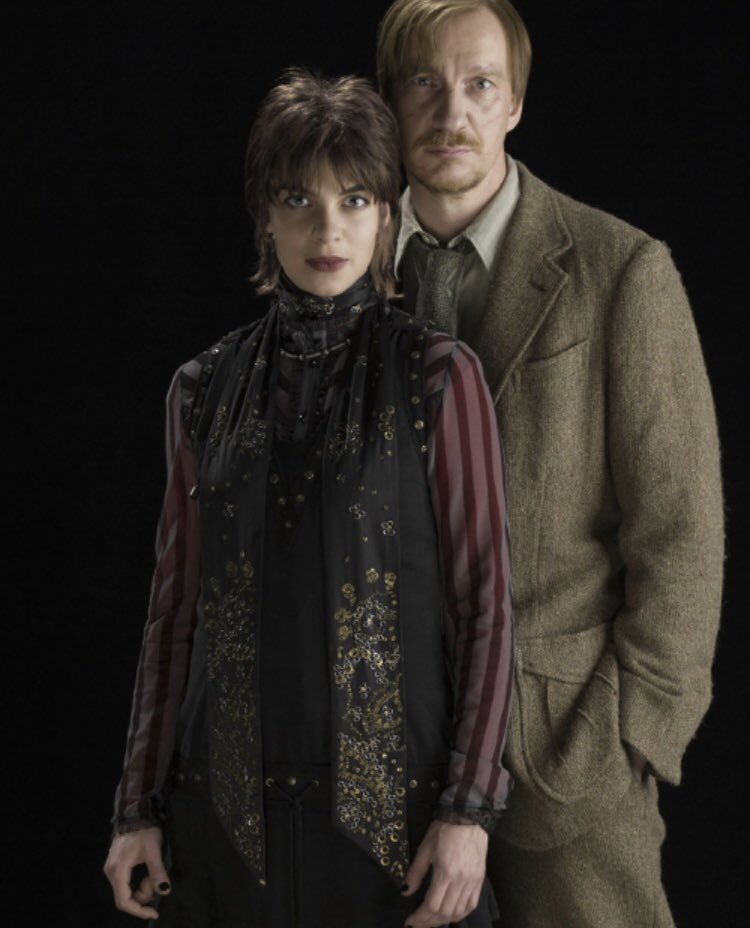 Remus, I most certainly do not need a day to profess my love for you. But you should know, dear, that I love you so much it feels as if my heart only can beat when it is by yours. The next chapter of our life is filled with surprises, like our cub was. But with you it’s perfect.