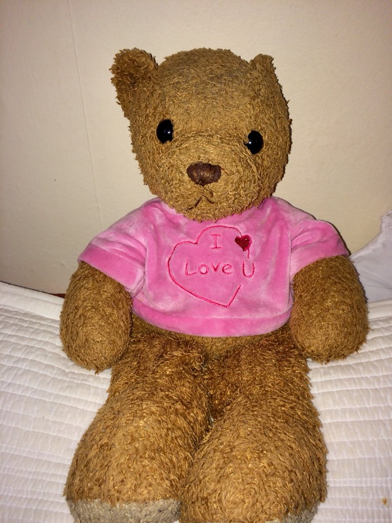 RexPortion's tweet photo. Happy Valentine’s Day everyone! ❤️ #Valentines #rexportion #teddybear #love #anxiety https://t.co/HzeoDGPD0j
