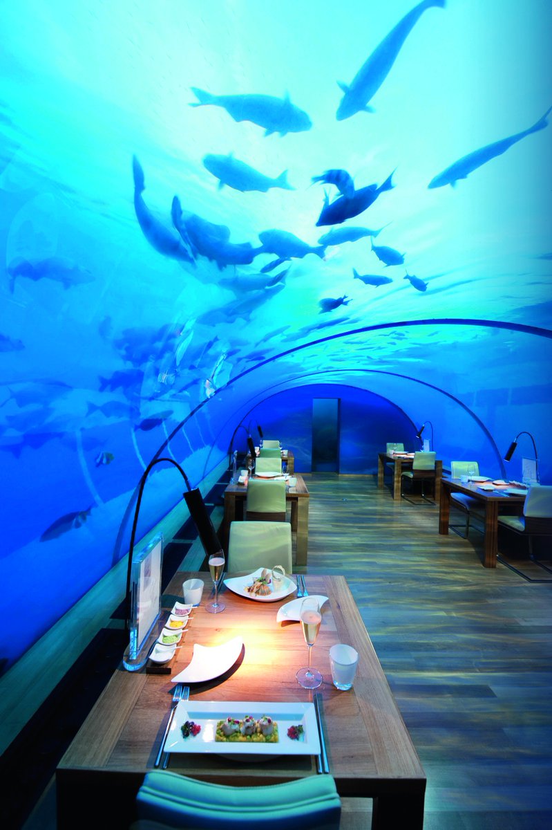 FMSGlobalMedia's tweet photo. The best #underwater #views were once exclusive to deep #sea #divers, but #ithaaundersearestaurant mean it’s possible to #swim with the #fish - and stay dry. Dine with a view like no other at @ConradMaldives Read more: https://t.co/vTzF3mrhus #stayinspired #conradmaldives https://t.co/60uER7Cunl