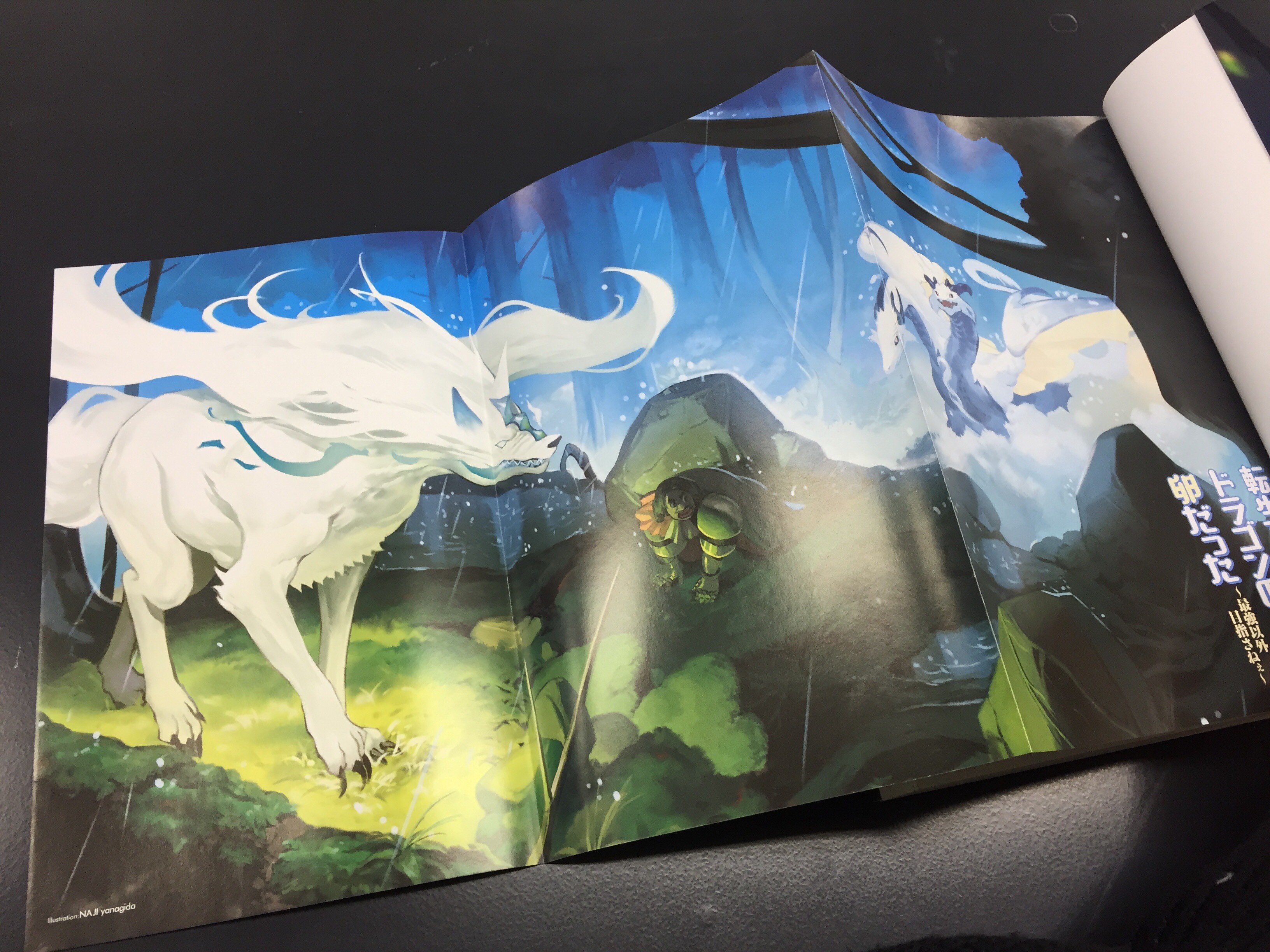 アース スターノベル 毎月15日発売 転生したらドラゴンの卵だった 第６巻 W 今回 ついにはじめて主人公の ウロボロスがカバーに登場です 裏面は６巻で敵対する餓えた狩人の面々が並んでおり 緊張感のあるイラストとなっています 口絵も