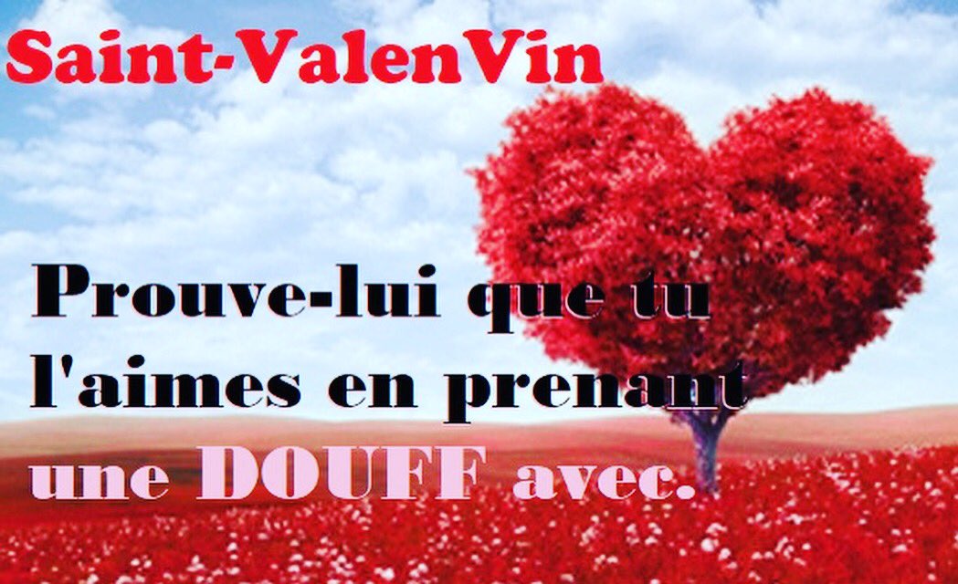 PhGenionS3's tweet image. #SaintValentin @zemetre @michelhenrion @jdflaysakier @BriceFournier @J55_Ekoj @ChDeborsu @PDB1King @FabriceLaurent @EmmanuellePraet @CornuChristophe