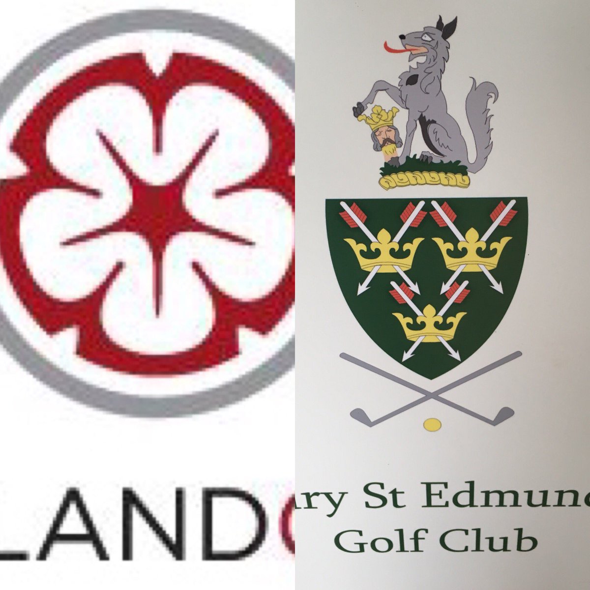 Gog Magog Pro Shop tweet media