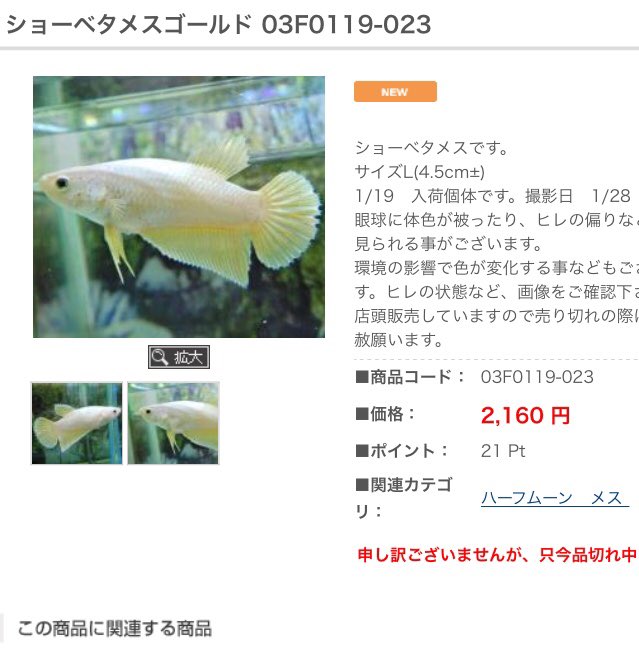 ｃｉｅｌ ａｌｅｎｃｏｎ シエル ハーフムーンのメス を落札してみた ちょうど楽天で見ててキレイなシャンパンゴールドだなと思ってたらヤフオクにも出てきて あれ 同じ子 と思って写真見比べたらやっぱり同じだったからすかさず落札した ストアの
