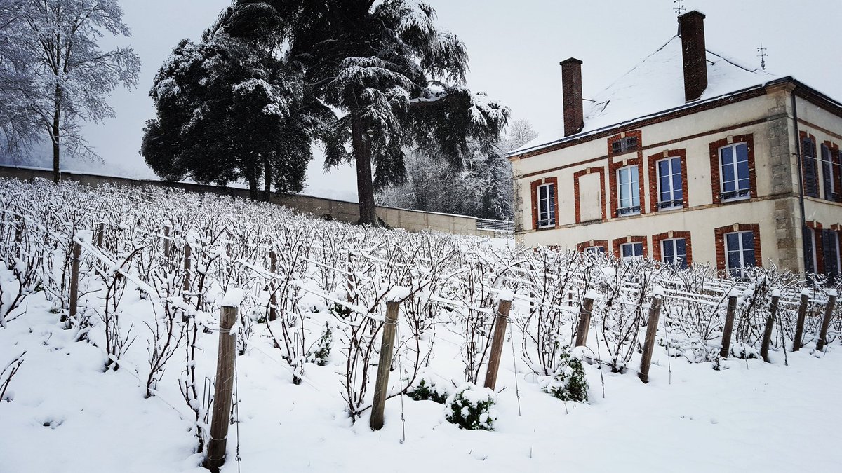 warishubertchp's tweet photo. Notre clos sous son manteau d'hiver #champagne #warishubert #winter https://t.co/XL7oxOiBWe