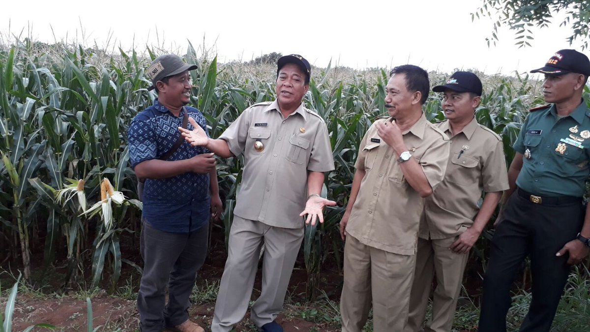 anambrow4's tweet photo. #ManfaatDanaDesa
#tppijawatimur
#tppilamongan
#PDP_SOLOKURO
Persiapan panen raya jagung brsma Bupati LMG
Pendamping desa siap mengawaal padat karya #Cashforwork
@Jokowi
@EkoSandjojo
@anwsanusi
@taufikmadjid71
@Dewantoandry
@zaind_ah https://t.co/I0255phiex