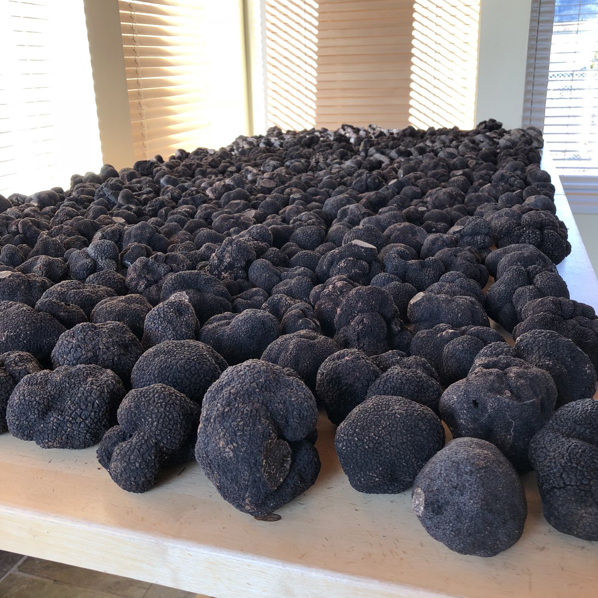 Wiltshire Truffles tweet media