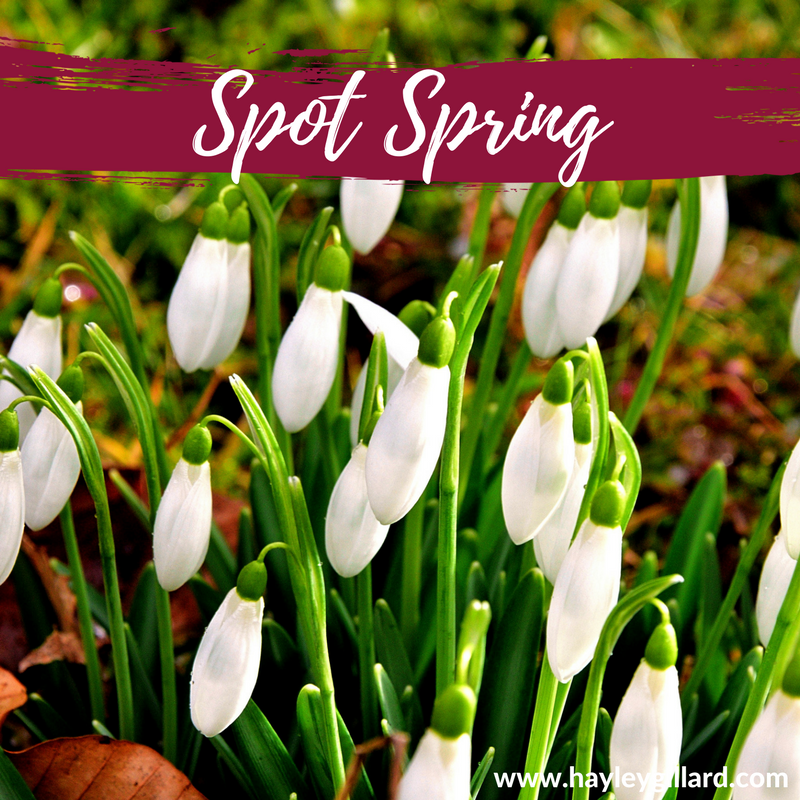 HayleyGillard1's tweet photo. NATURE CONNECTION
There's so much Spring happening right now! The irises are out in my garden, the snowdrops are peaking out and even the daffodil shoots are raising their heads! Connect with #nature this week by spotting #spring.
#ecotherapy #wellbeing https://t.co/RYeeaVlmWA