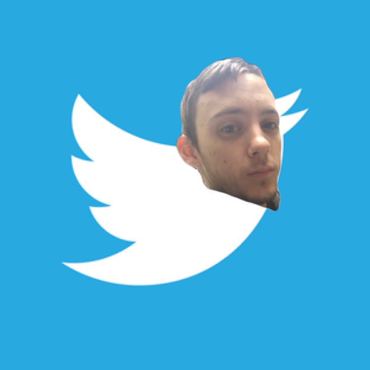 thatstimsface's tweet photo. #timsfaceonthings #Twitter #20EightTim https://t.co/NARB4aiatG
