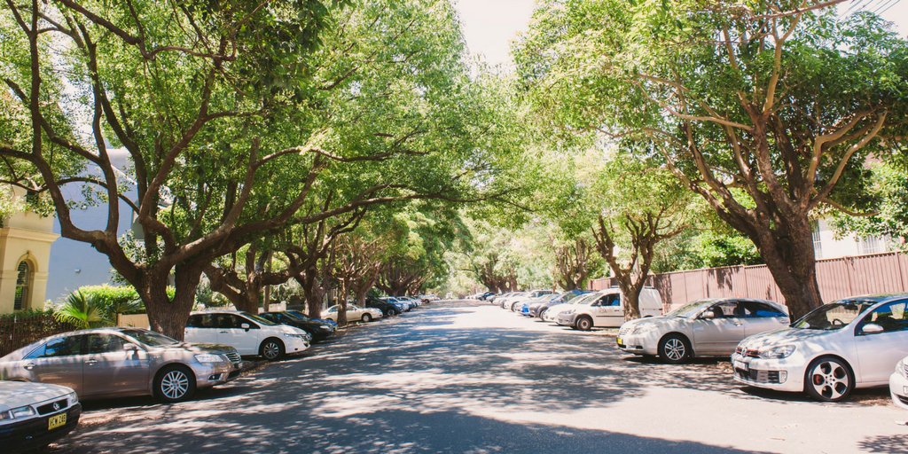 Annandale has a village feel with boutique shops and nurseries. Explore local favourites in our guide. ed.gr/d4cy