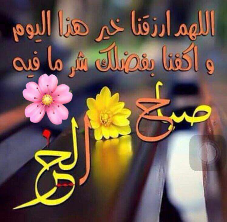 oth808's tweet image. صباح الخير 🌞☕️