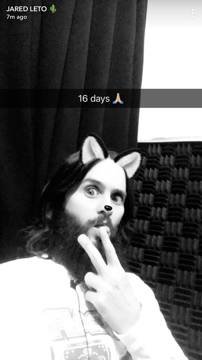 wishiwerebella's tweet photo. 16 days?! I hate him. #crypticaf https://t.co/ktWehy0liH