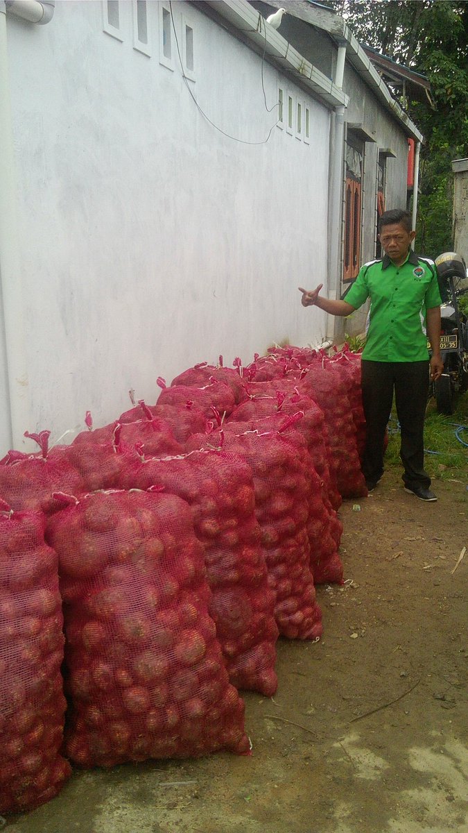 JoniSulistianto's tweet photo. Menurut sy padat Karya Tunai tidak semata pelaksanaan proyek dari Dana Desa,Mempotensikan SDA Desa guna peningkatan perokonomian masy juga bisa disebut padat karya tunai(POTENSI PORANG) #BhaktiPendampingDesa#STPPI @Jokowi@EkoSandjojo@AnwSanusi@Taufikmadjid71@Fachrilabalado https://t.co/Vnws1BpMCP