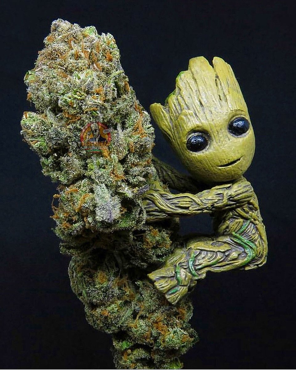 BigBoi's tweet image. 