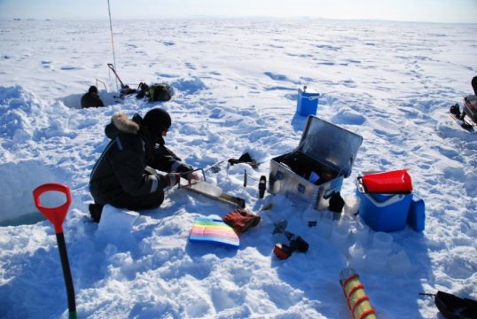 envi_microb's tweet photo. Sea ice algae blooms in the dark #newworldrecord #Smallicealgae
Access here: https://t.co/nEo4qTikLF / https://t.co/knxuElELDd https://t.co/KYnvVXb2cL