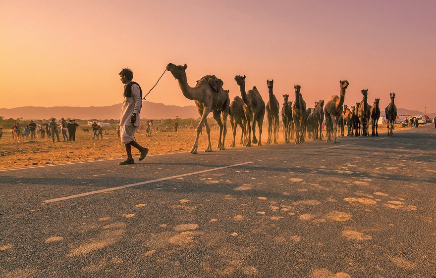 LPMagIn's tweet photo. Arindam Chowdhury captured this image at the annual Pushkar Mela in Rajasthan. To have your best travel photo featured in our magazine, email lpmagazine@wwm.co.in. https://t.co/U4uZKyzXlt