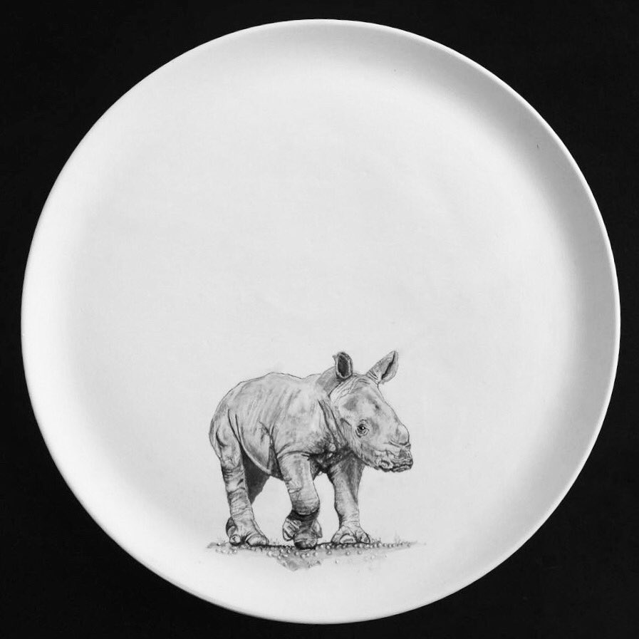PlatterProject's tweet photo. Baby rhino♥️ For more information on this 39cm in diameter, hand-painted platter from #ThePlatterProject email us at theplatterproject@gmail.com 🦏@lead_sa @LivingLegendsSA @GoodThingsGuy @WildAid @rhinomatters @BabyRhinoRescue @rhinoafrica @savetherhino https://t.co/otQewscEkK