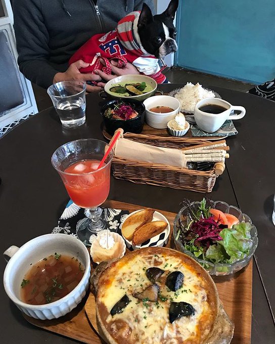 春日井の人気おすすめランチ12選 おしゃれで美味しいお店を厳選紹介 Kurashi No