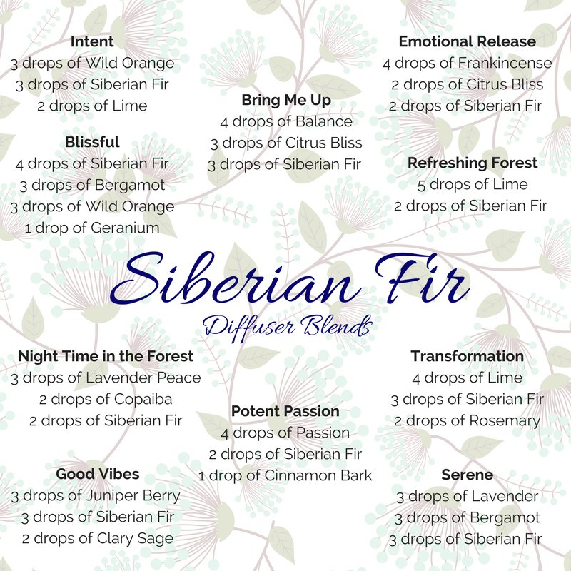 Today's blog ... the release of Siberian Fir in Australia!!!!

#essentialoils #doterra #siberianfir #calming #relaxing #skincare #aromatherapy #diffuser #diffuserblend #essentialoilsforthewin #oiladdict #oilylife #wellness #natural
  ow.ly/i1Py30ifwnT