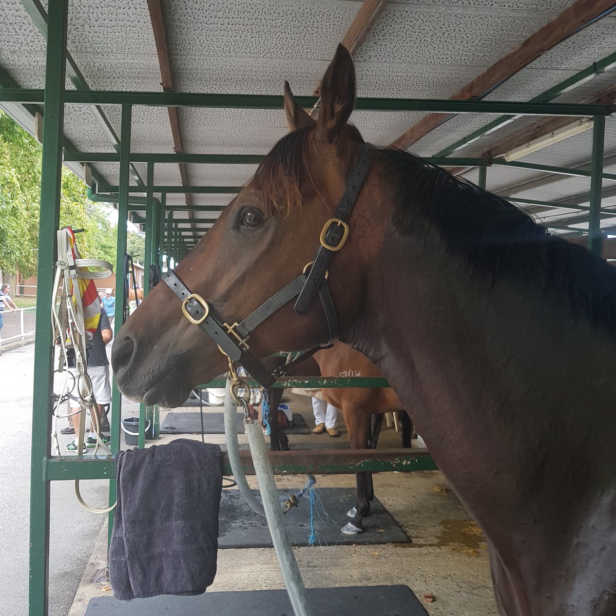 RacingPatemanJ's tweet photo. #AtlantaBlue has arrived well on track at @PerthRacing ... and now posing for a photo. https://t.co/7zs8GHx9wa