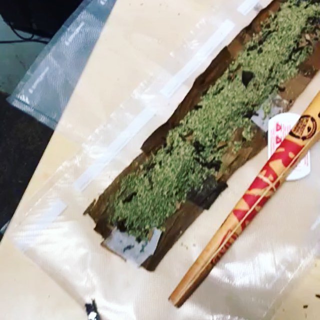 krgirls4life's tweet image. What you doing after smoking this!? Comment down below #krgirls4life 🌲💨
•
•
•
#takeahit #weed #cannabiscommunity #pot #raw #roll #hash #green #bud #smoke #humble instagram.com/p/Be4wnrxllDN/