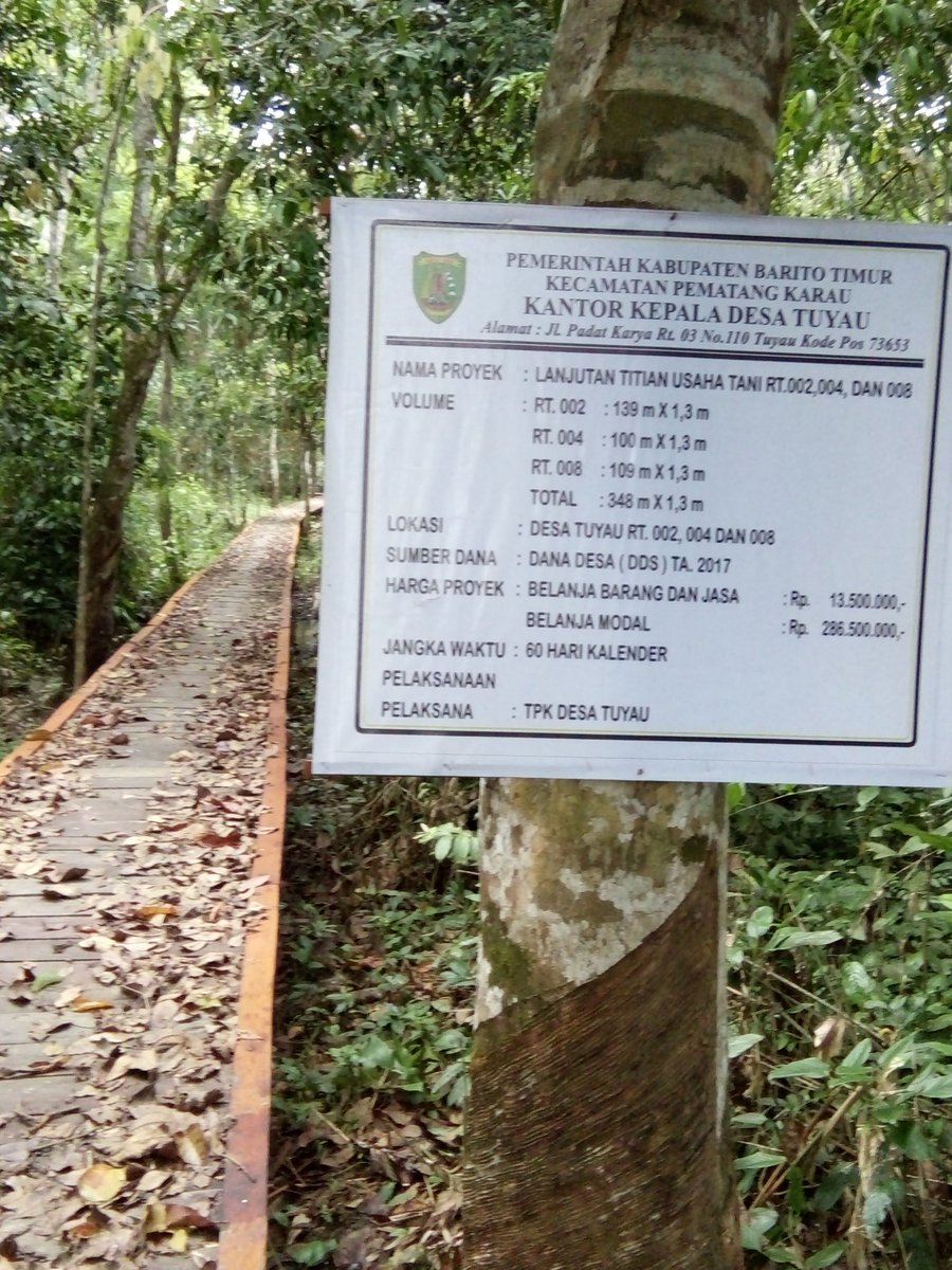 Karuehni1's tweet photo. #ManfaatDanaDesa 
#TPPIKalteng 
#Bartim 
Karna adanya Dana Desa,masyarakat lebih enak ke kebun dan sawah https://t.co/a7aQFlcrb0