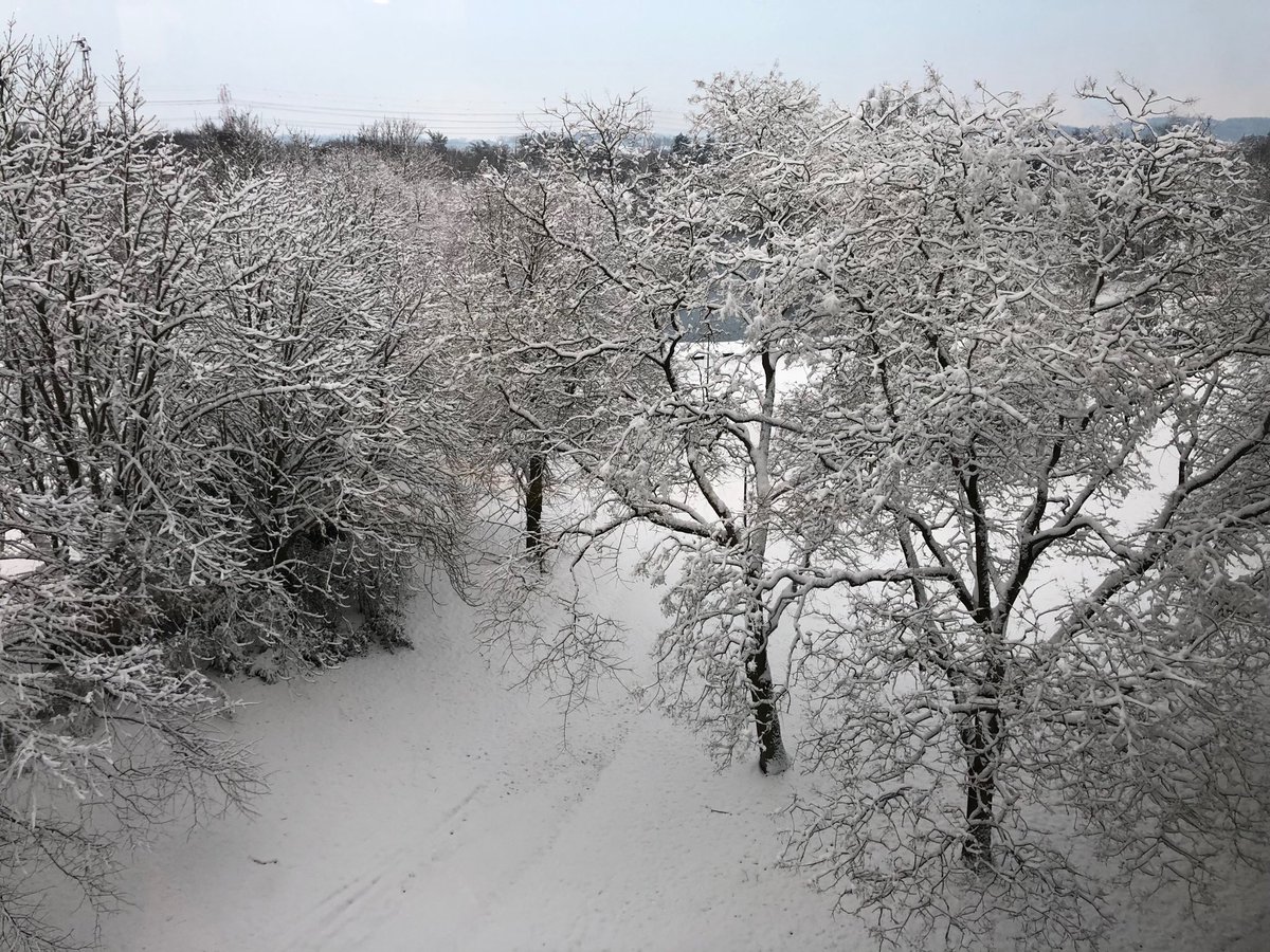 <a href="/ICPS_institut/">Institut Cardiovasculaire Paris Sud (ICPS)</a> 
ICPS this morning
☃️☃️☃️