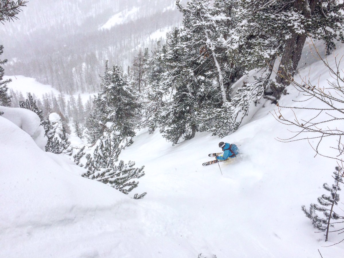 Robin REVEST tweet media