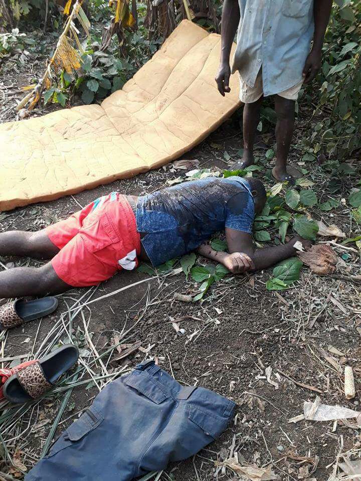 el_cypro's tweet photo. @UN @_AfricanUnion @commonwealthsec @antonioguterres @PScotlandCSG @BritishCouncil @UNHumanRights  southern Cameroonians are killed like flies and the whole world seems to silence about It.😭😭😭 #if fighting for freedom and respect of humanright is a crime then we are criminals. https://t.co/0nHC3ydmSA