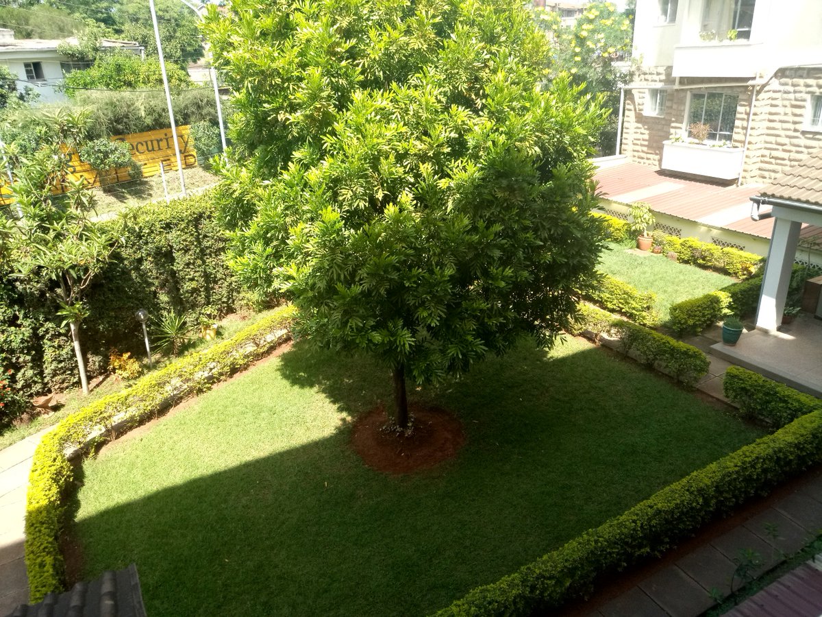 A sensational 3 bedroom furnished apartment to let et #Kilimani #Denis Pritt road. Located in close proximity to Yaya Centre.
Rent @ Kshs 180,000 per month

Telephone: 0721977470 / 0726 468 282
nwrealite.co.ke
