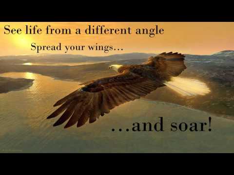 Holistic World On Twitter See Life From A Different