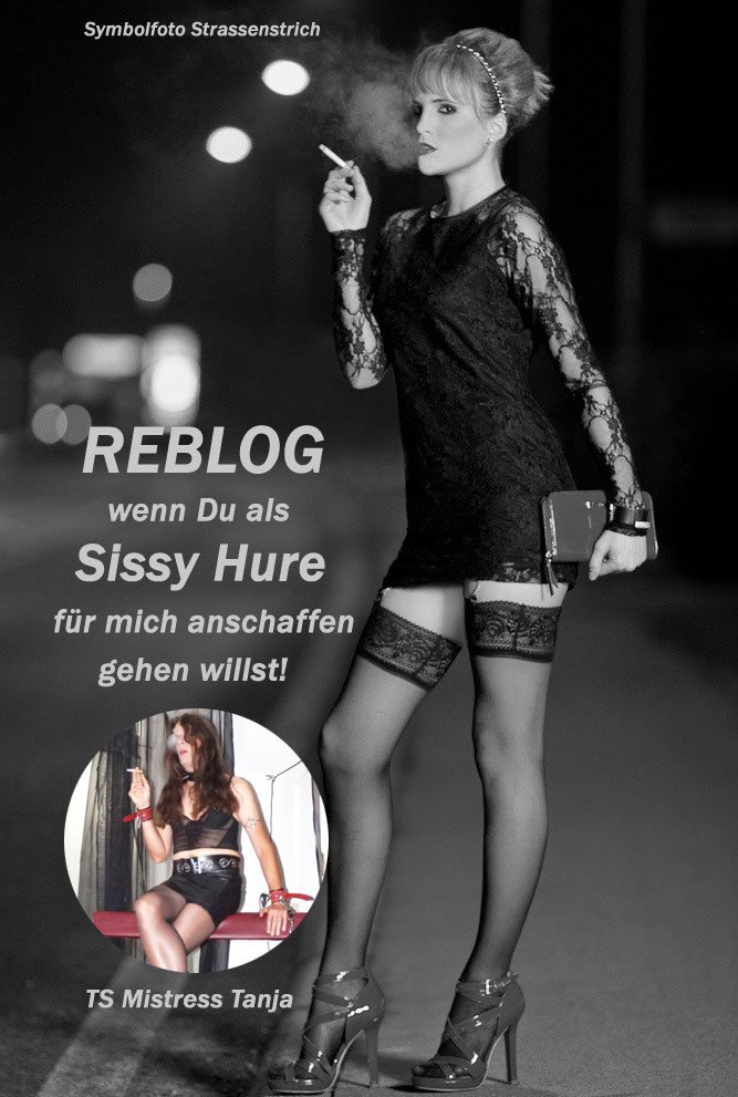 ❤️Like wenn Du auf #TV-#Huren stehst, REBLOG wenn Du gerne selber als Sissy Hure auf den Strich gehen möchtest! #Bewerbungen als #Sissy #Nutte in devoter Form per Mail schriftlich an: tanja.amante@yahoo.com #Sissy #Erziehung #Hurenabrichtung #anschaffen #Feminisierung #Domina👠