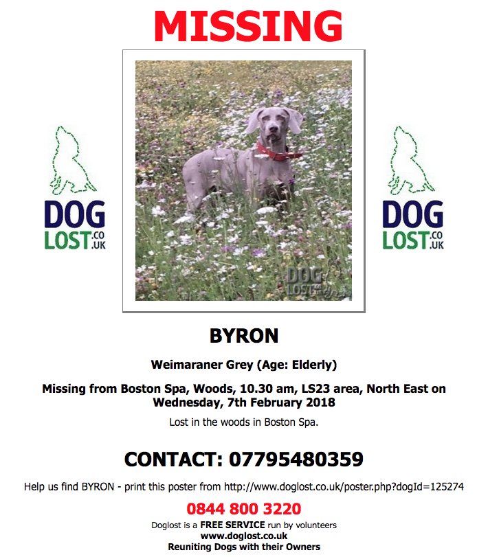 DogLostUK tweet picture