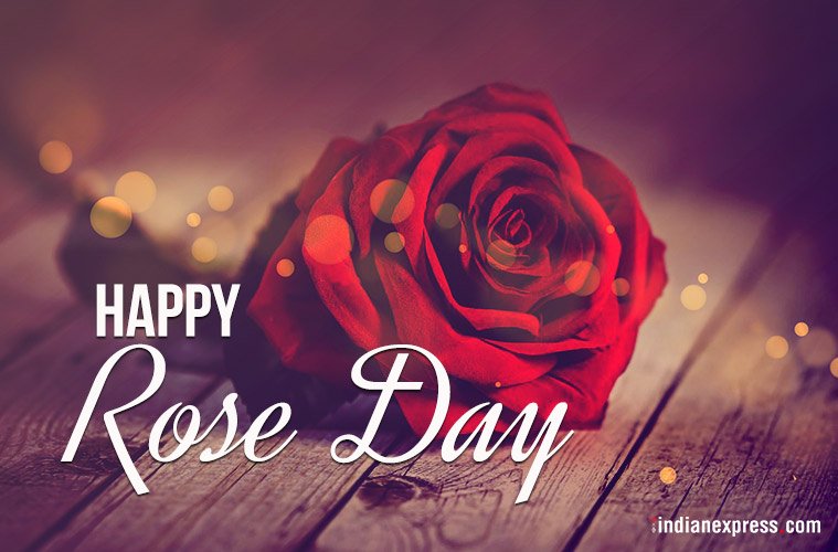 ranjeetbuke's tweet photo. #HappyRoseDay #Velentinesweek #velentinesday https://t.co/jKG1nrMuaM