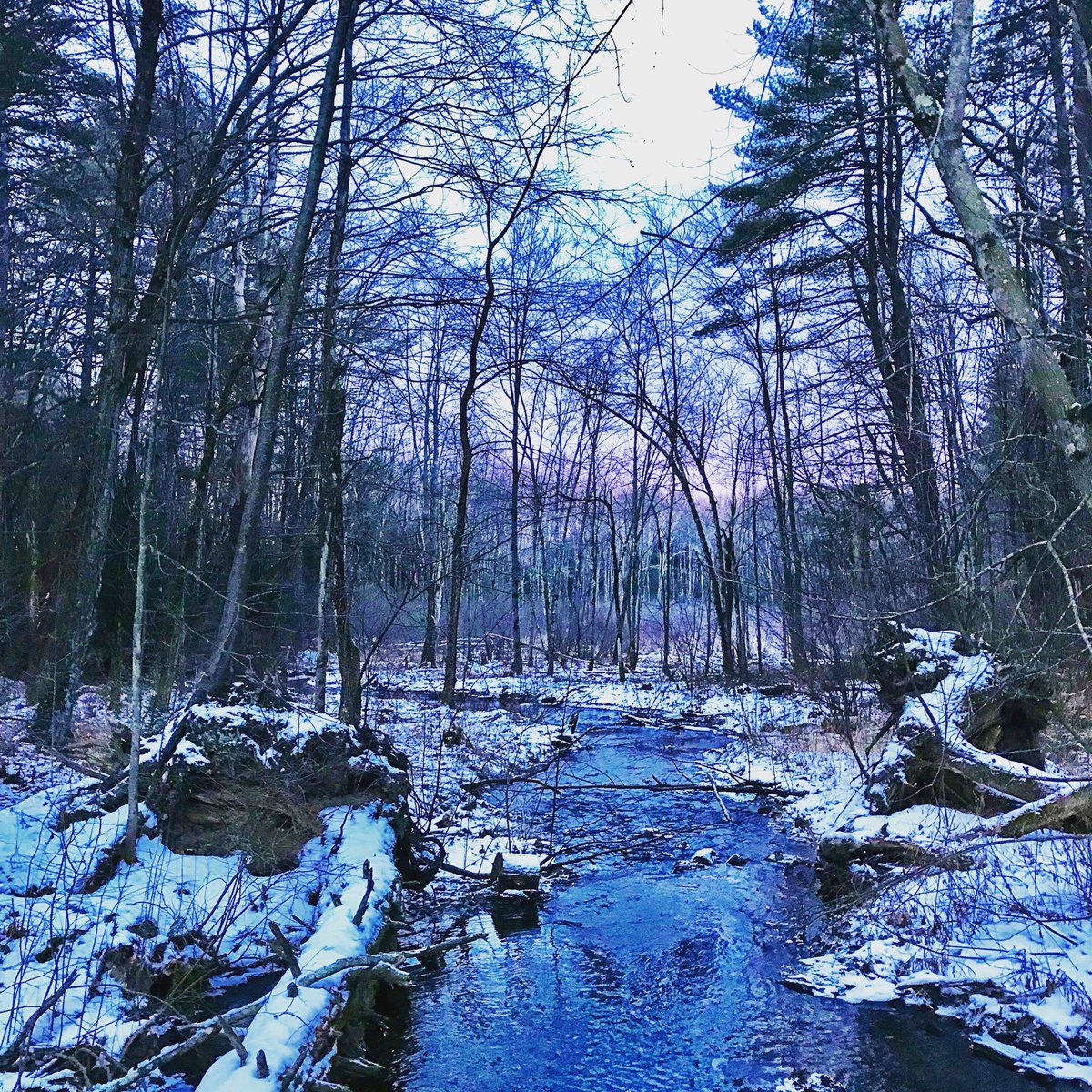 rebicca's tweet photo. Calm before the storm. #trailrunning #amherstma #runmass #snowday https://t.co/lXjXhVsGDw