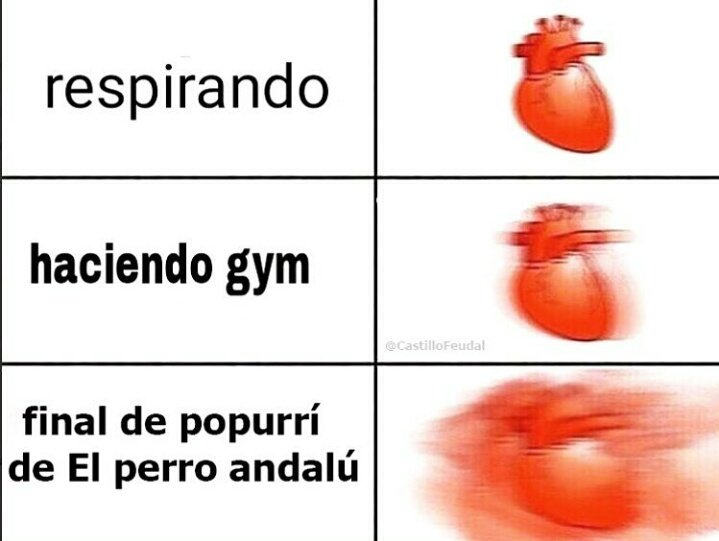 Cairnaval (@cairnaval_3x4) on Twitter photo 